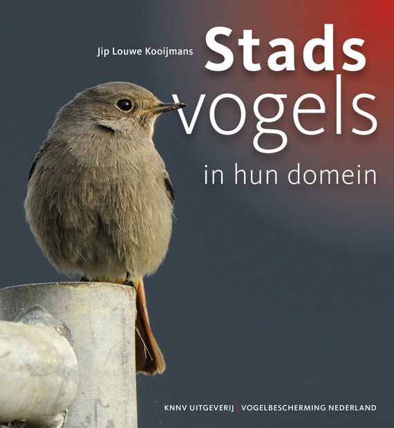 Stadsvogels in hun Domein [Urban Birds in their Habitat]