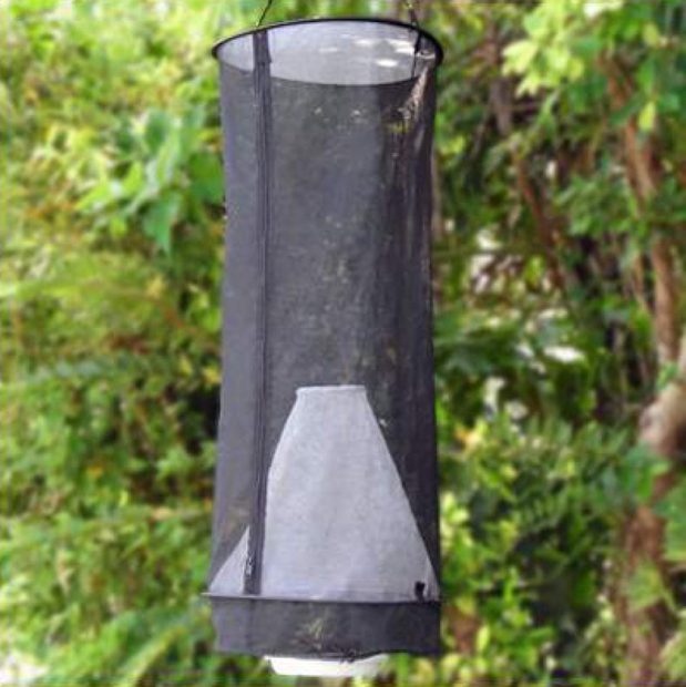 Pop-Up Butterfly Bait Trap with Inner Cone