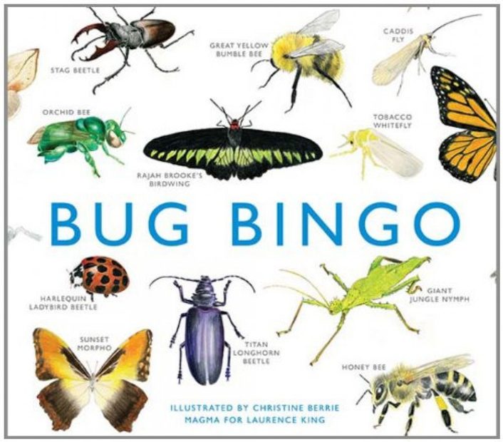 Bug Bingo