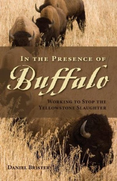 In the Presence of Buffalo