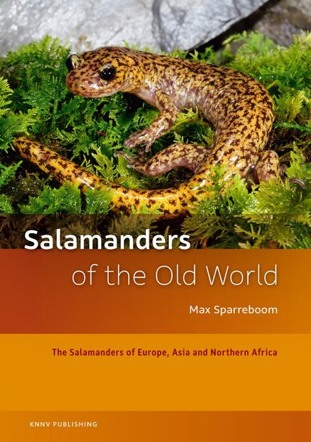 Salamanders of the Old World