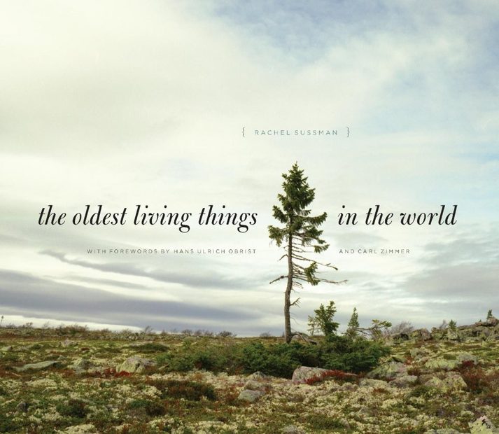 The Oldest Living Things in the World
