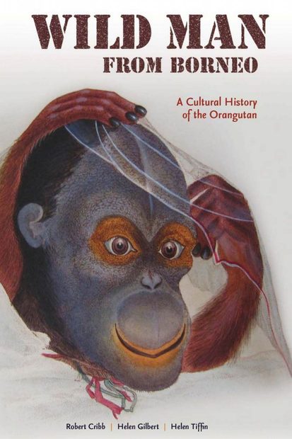 Wild Man from Borneo