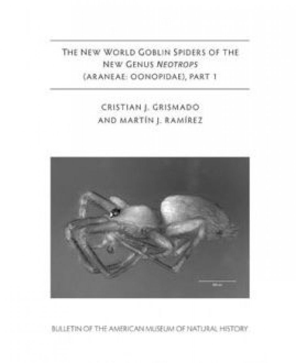 The New World Goblin Spiders of the New Genus Neotrops