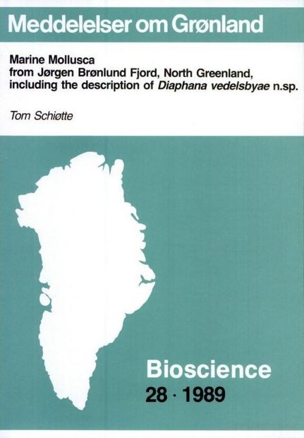 Marine Mollusca from Jørgen Brønlund Fjord, North Greenland, Including the Description of Diaphana vedelsbyae n. sp.