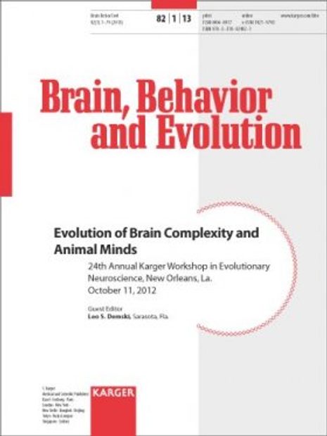 Evolution of Brain Complexity and Animal Minds