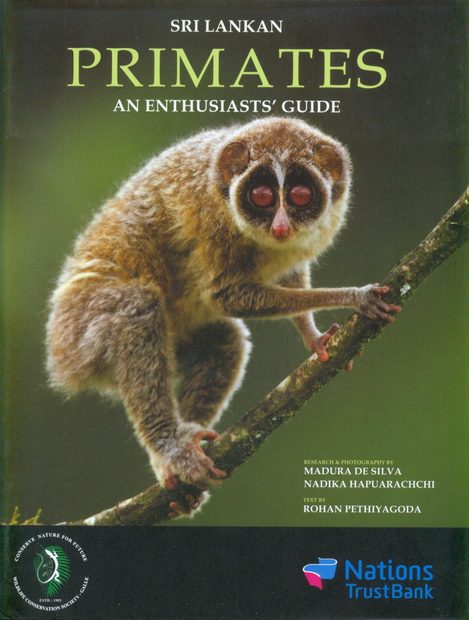 Sri Lankan Primates
