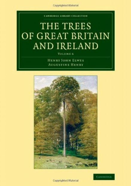 The Trees of Great Britain and Ireland, Volume 6