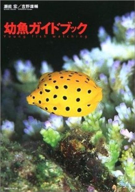 Yōgyo Gaidobukku [Young Fish Watching]