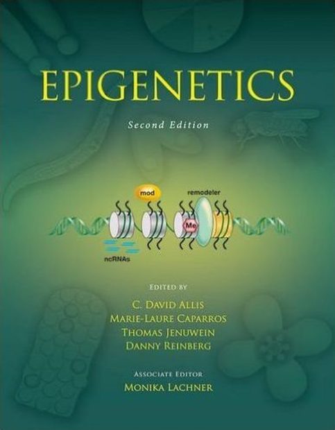 Epigenetics