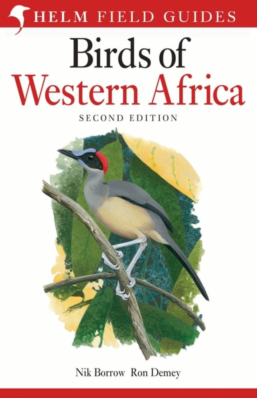 NHBS　Birds　Guides　Natural　Western　of　Field　Africa　History