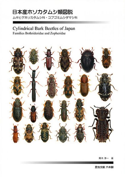 Cylindrical Bark Beetles of Japan [Japanese]
