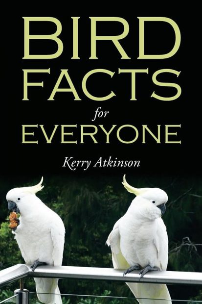 Bird Facts for Everyone