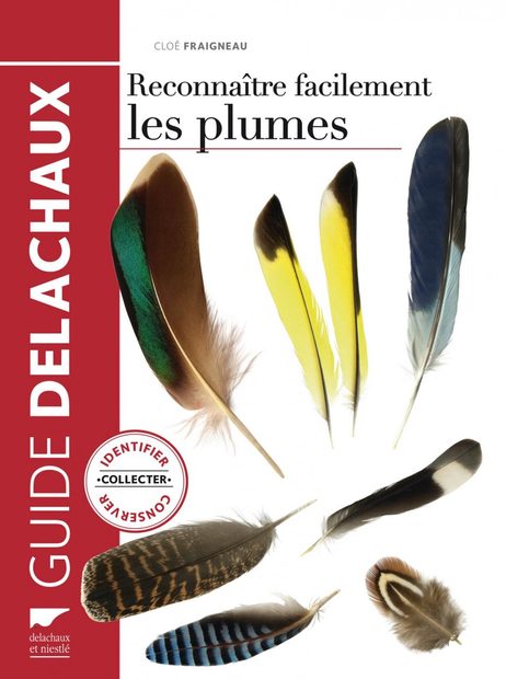 Reconnaître Facilement Les Plumes [Easily Recognizing Feathers]