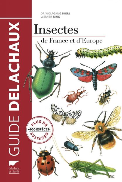 Insectes de France et d'Europe [Insects of France and Europe]