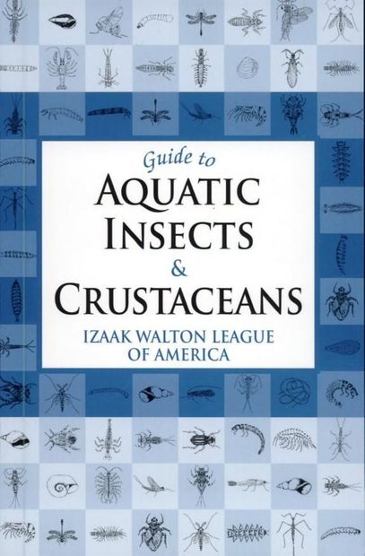 Guide to Aquatic Insects & Crustaceans