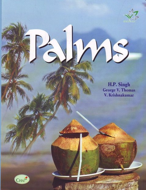Palms