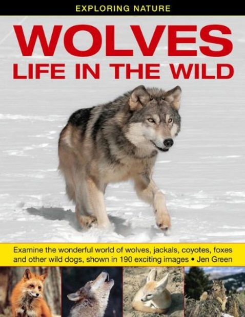 Wolves - Life in the Wild