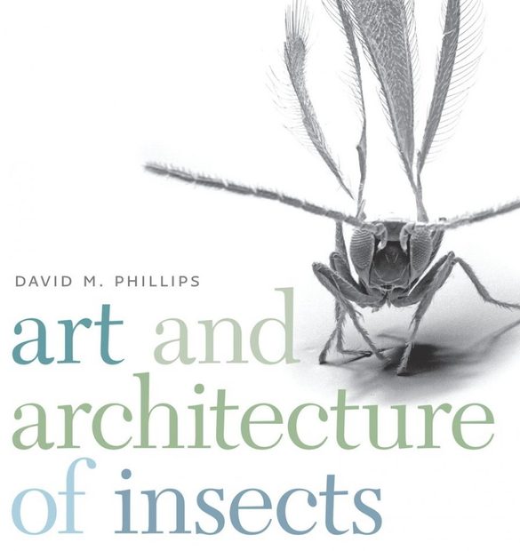 Art and Architecture of Insects