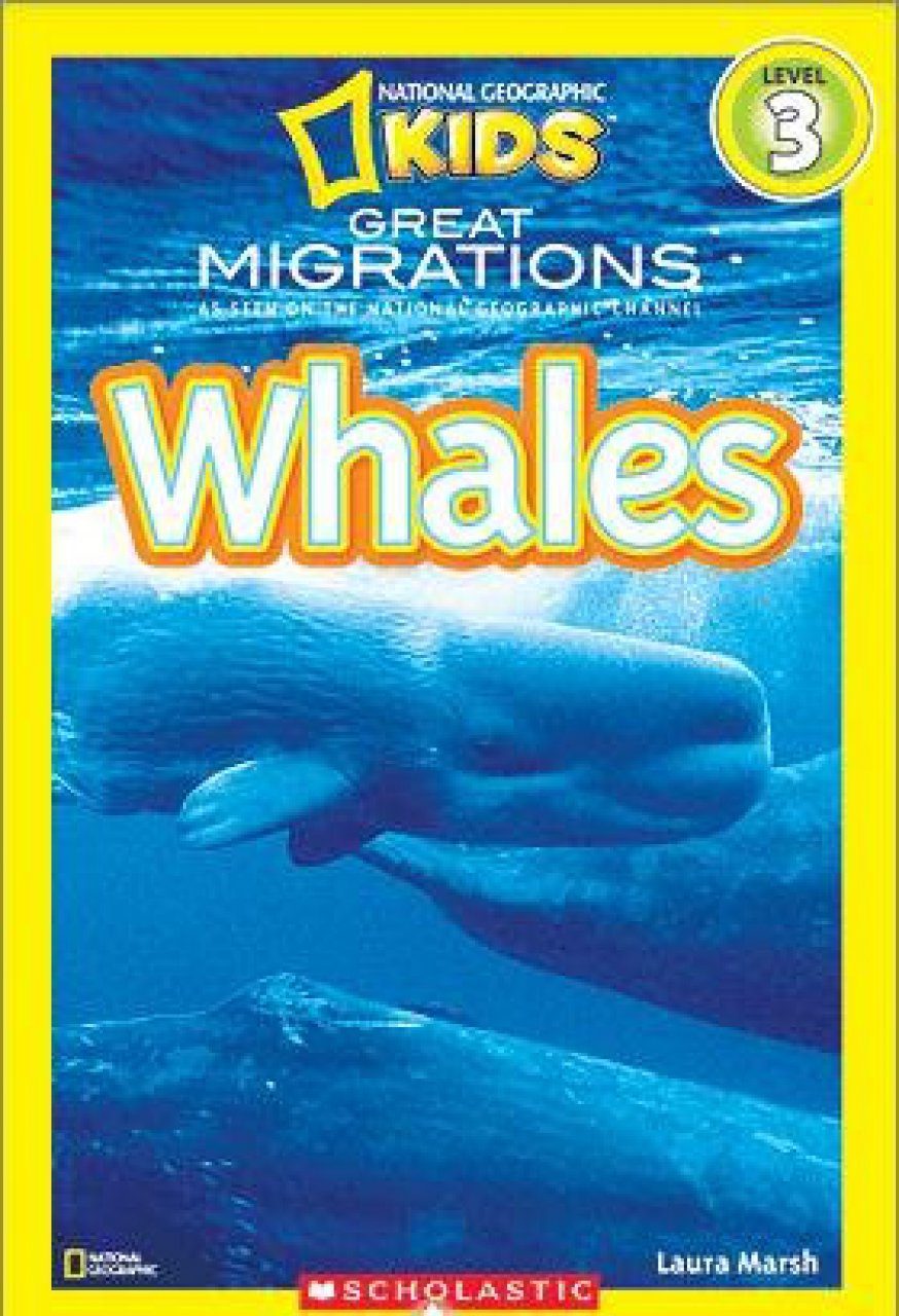 Great Migrations: Whales | NHBS Academic & Professional Books