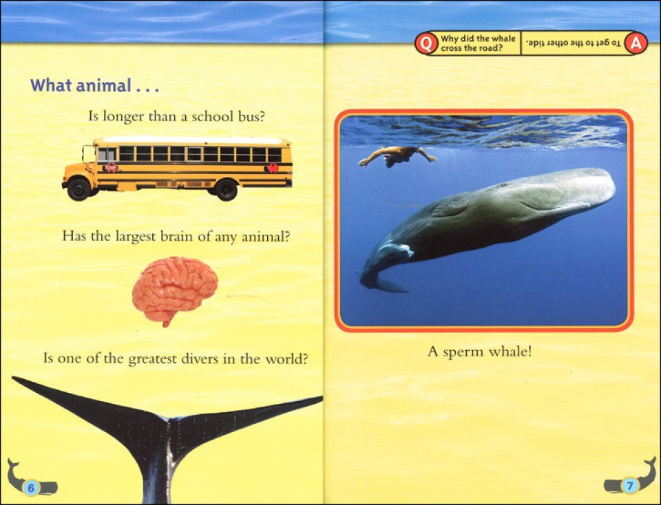 Great Migrations: Whales | NHBS Academic & Professional Books