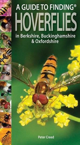 A Guide to Finding Hoverflies in Berkshire, Buckinghamshire & Oxfordshire