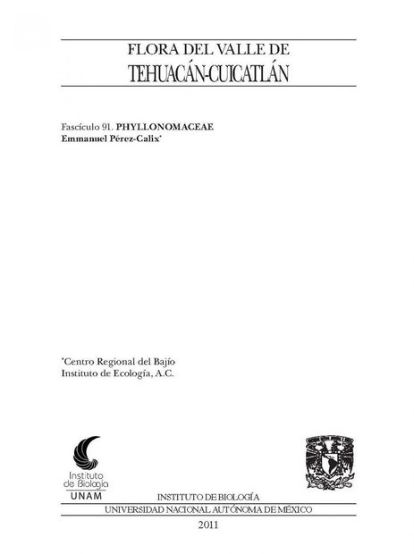 Flora del Valle de Tehuacán-Cuicatlán, Volume 91: Phyllonomaceae