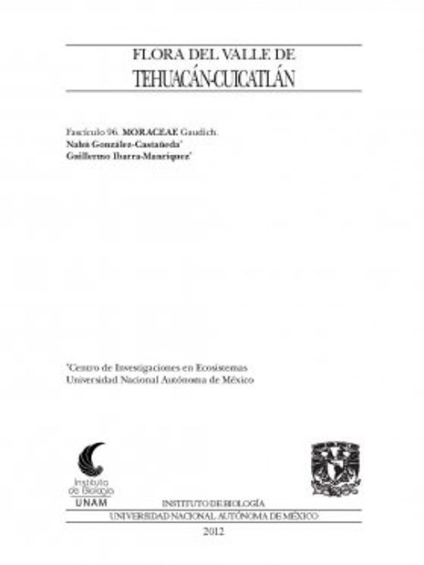 Flora del Valle de Tehuacán-Cuicatlán, Volume 96: Moraceae
