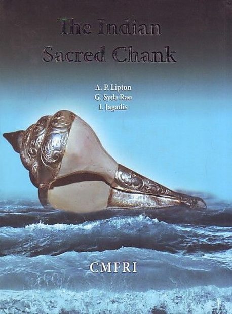 The Indian Sacred Chank