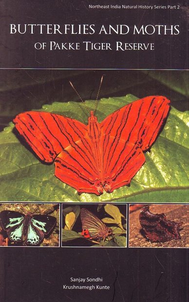 Butterflies and Moths of Pakke Tiger Reserve
