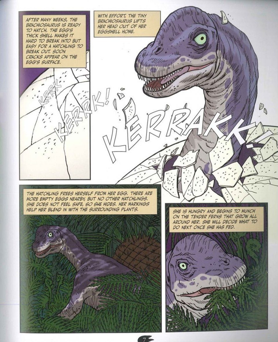 Brachiosaurus The Long Limbed Dinosaur Nhbs Academic Professional Books