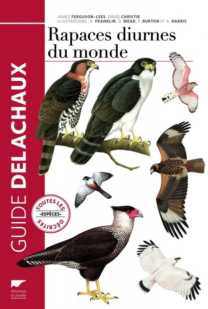 Guide des Rapaces Diurnes du Monde
