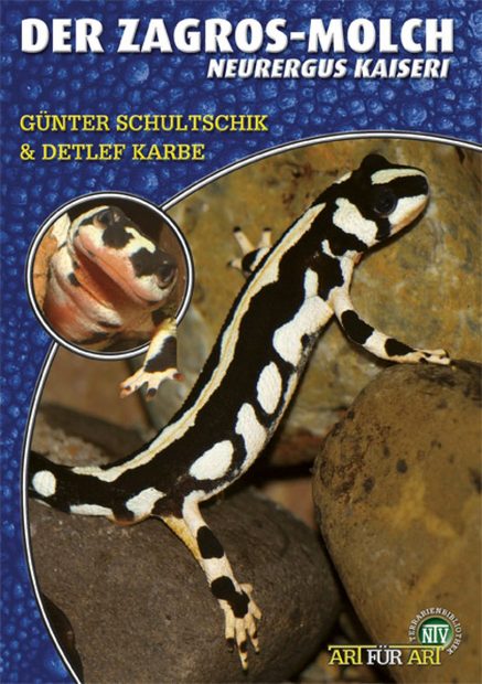 Der Zagros-Molch: Neurergus kaiseri [Kaiser's Spotted Newt]