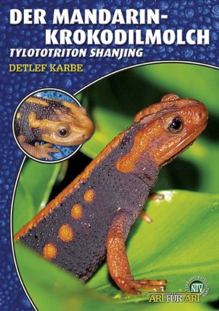 Der Mandarin-Krokodilmolch: Tylototriton shanjing [Emperor Newt]