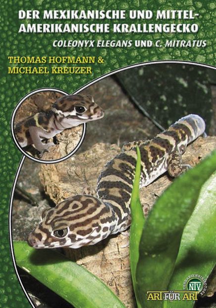 Mexikanischer und Mittel-Amerikanischer Krallengecko: Coleonyx elegans und C. mitratus [Yucatán Banded Gecko and Central American Banded Gecko]