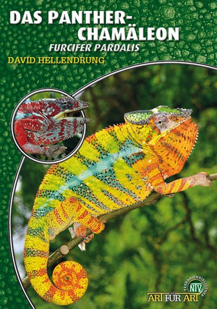 Das Pantherchamäleon: Furcifer pardalis [Panther Chameleon]