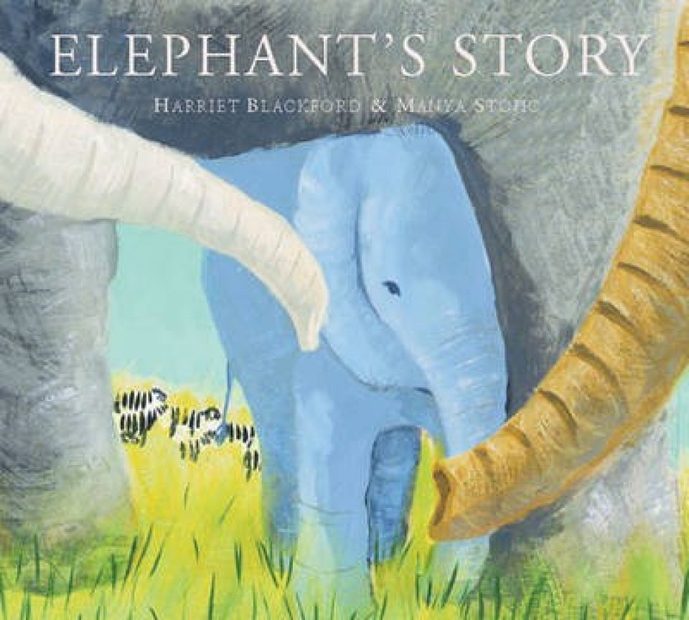 Elephant's Story | NHBS Academic & Professional Books