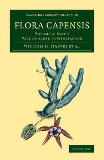 Flora Capensis, Volume 4, Part 1: Vacciniaceae to Gentianeae