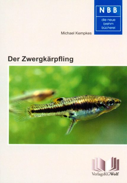 Der Zwergkärpfling [The Least Killifish]