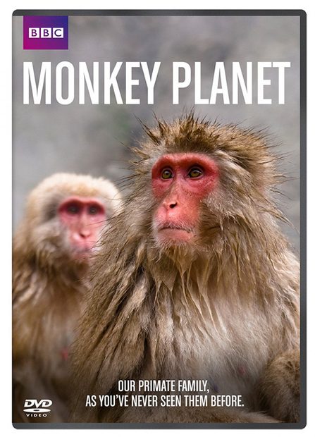 Monkey Planet (Region 2)