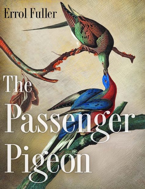 The Passenger Pigeon