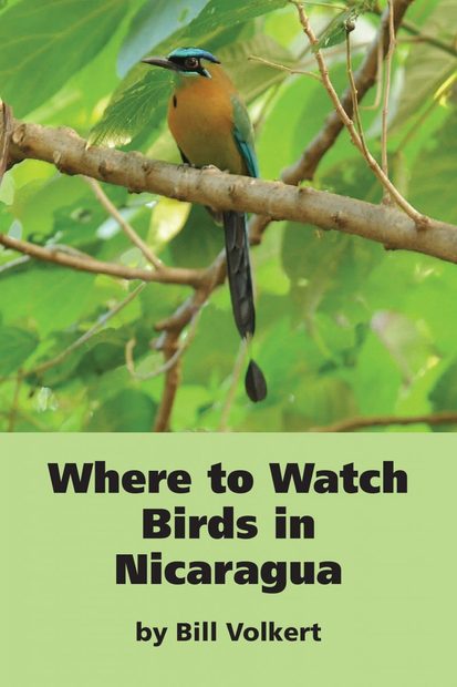 Where to Watch Birds in Nicaragua