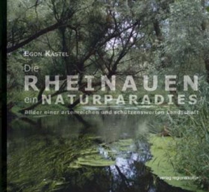 Die Rheinauen – ein Naturparadies