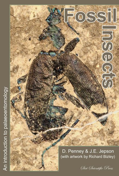Fossil Insects