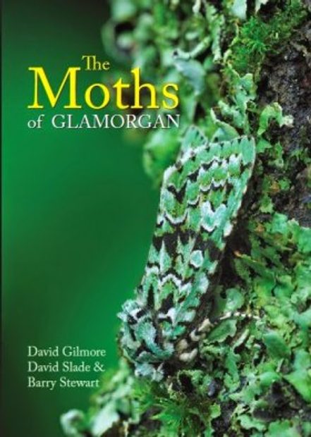 The Moths of Glamorgan