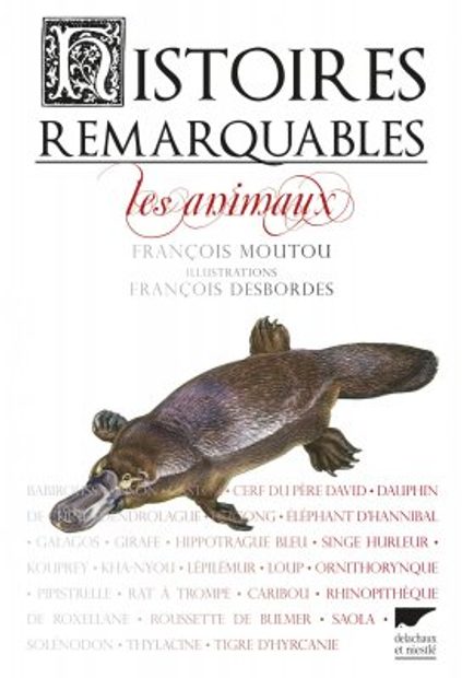 Histoires Remarquables: Les Animaux