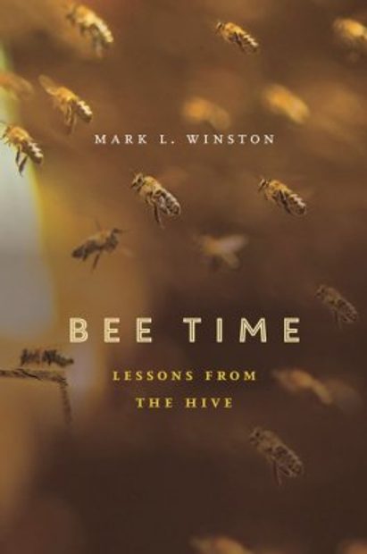 Bee Time