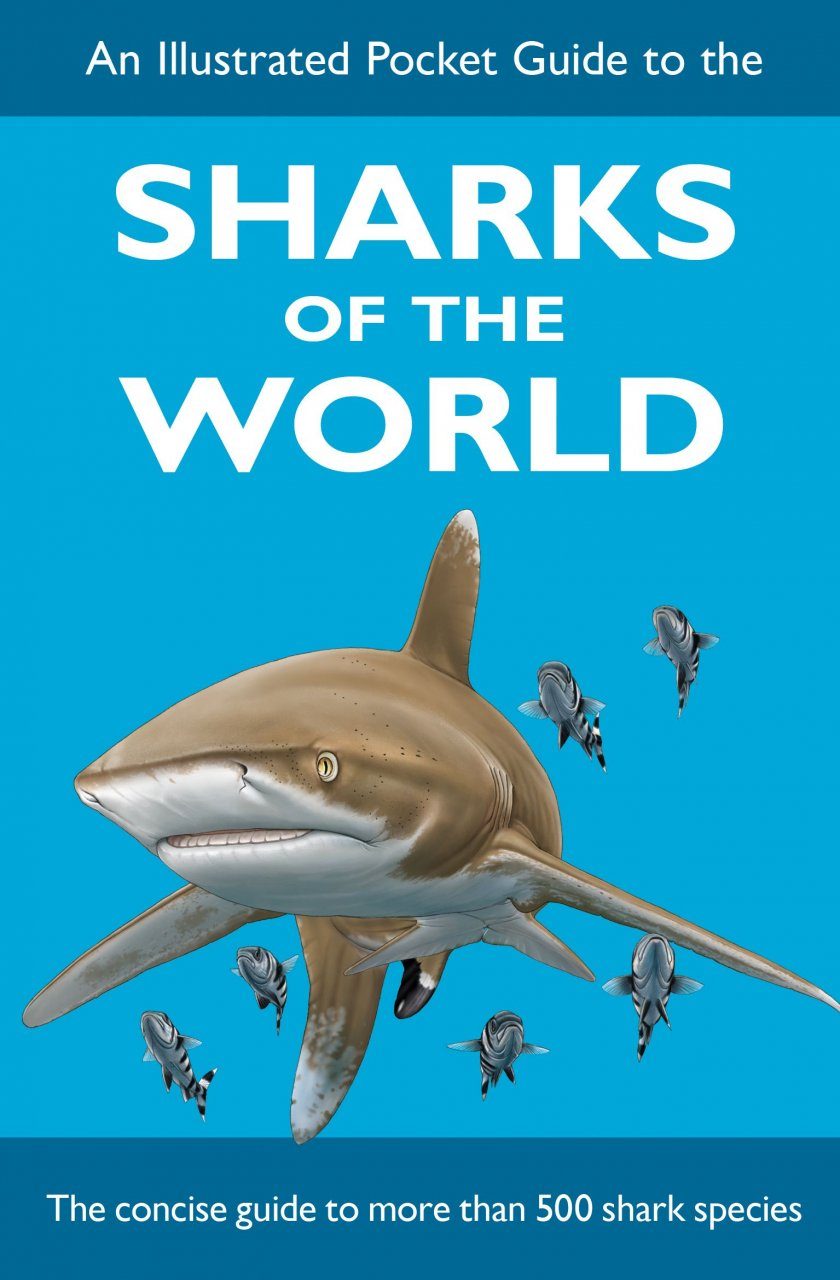 An Illustrated Pocket Guide To The Sharks Of The World