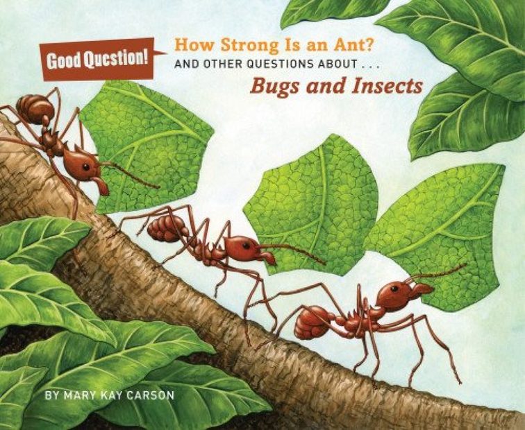 How Strong is an Ant?