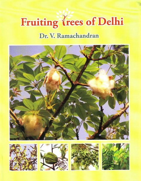 Fruiting Trees of Delhi